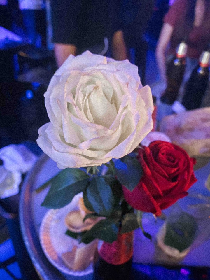 Rose