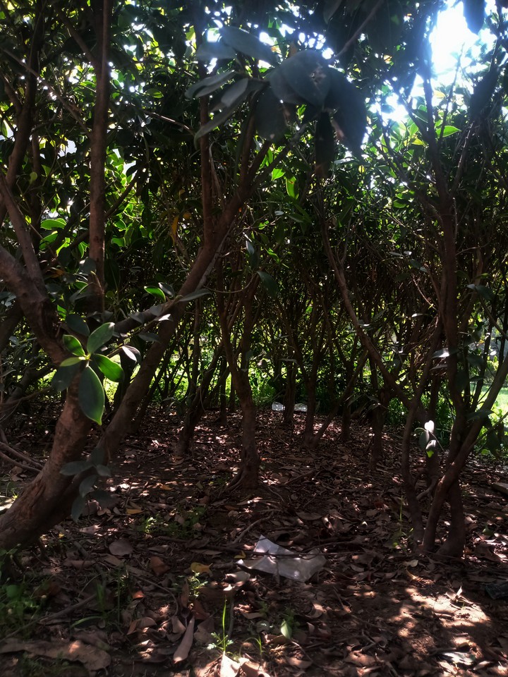 Little Cave