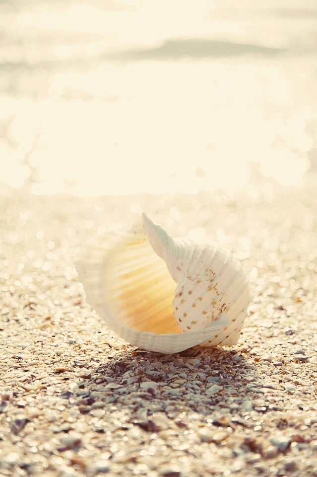 Ocean