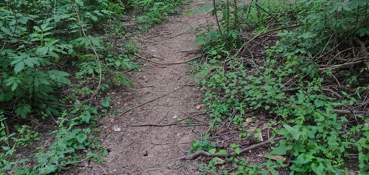 trail