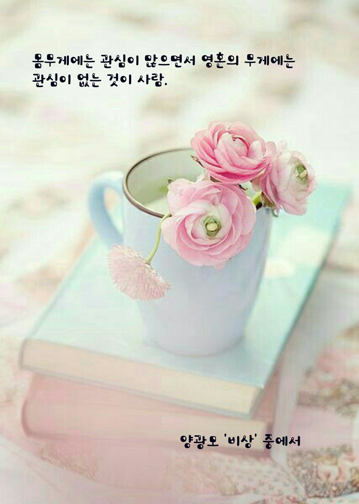 영혼의 무게