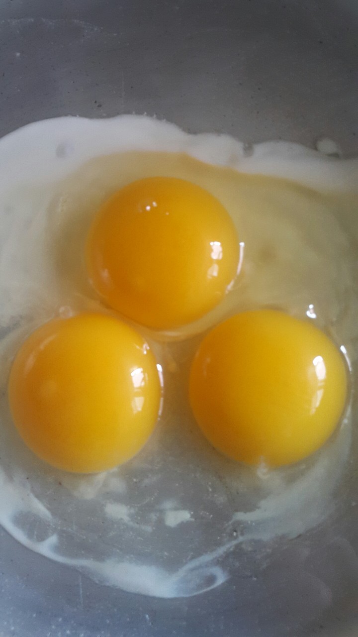 eggs