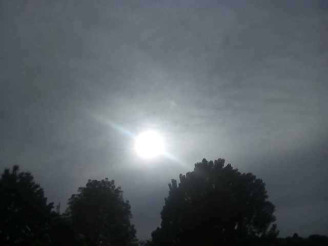 sun