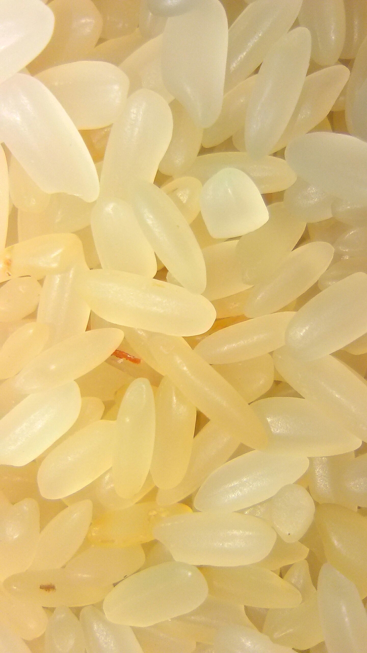 Rice