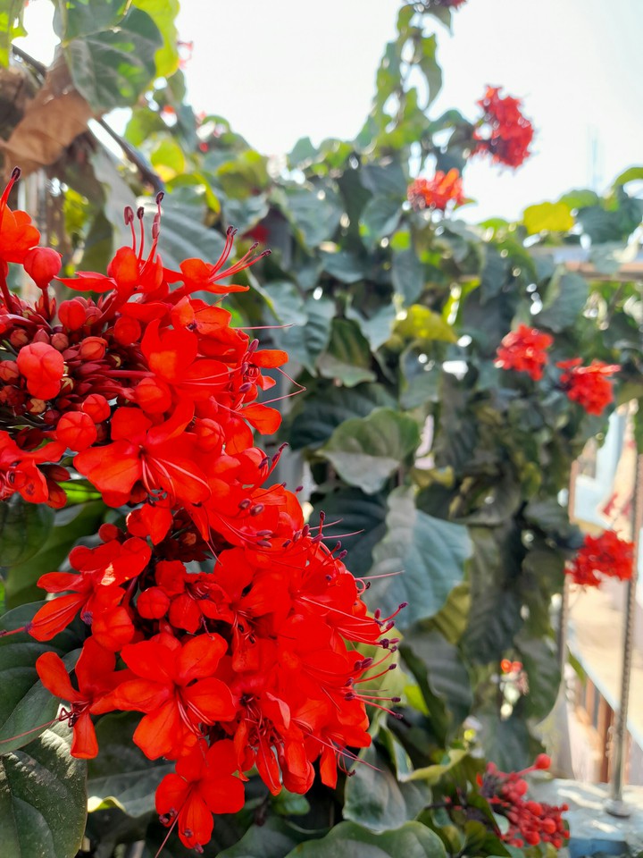 ❤❤