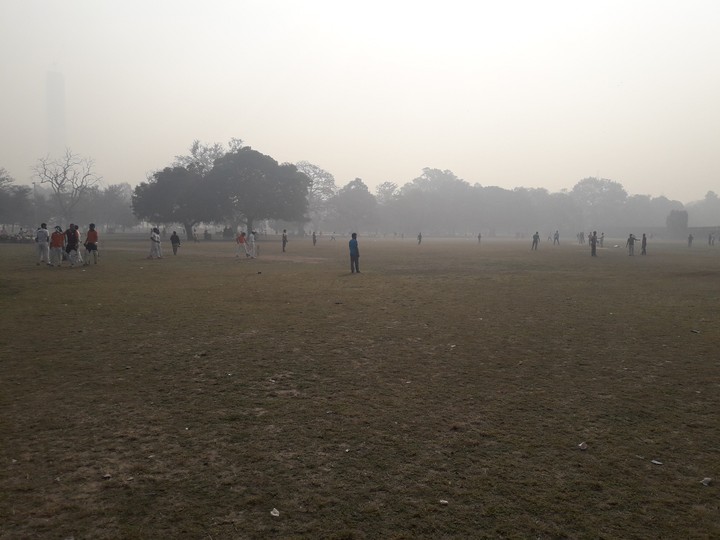 in field
