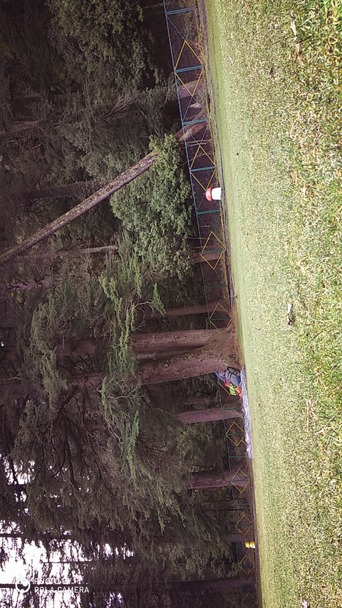 Dalhousie