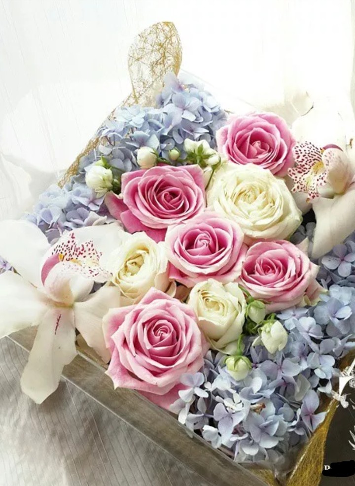 Roses blossom