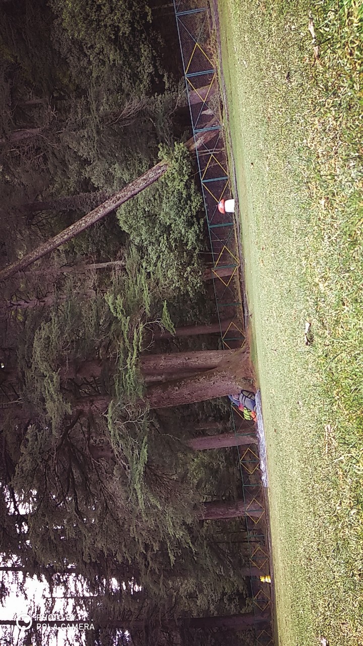 Dalhousie