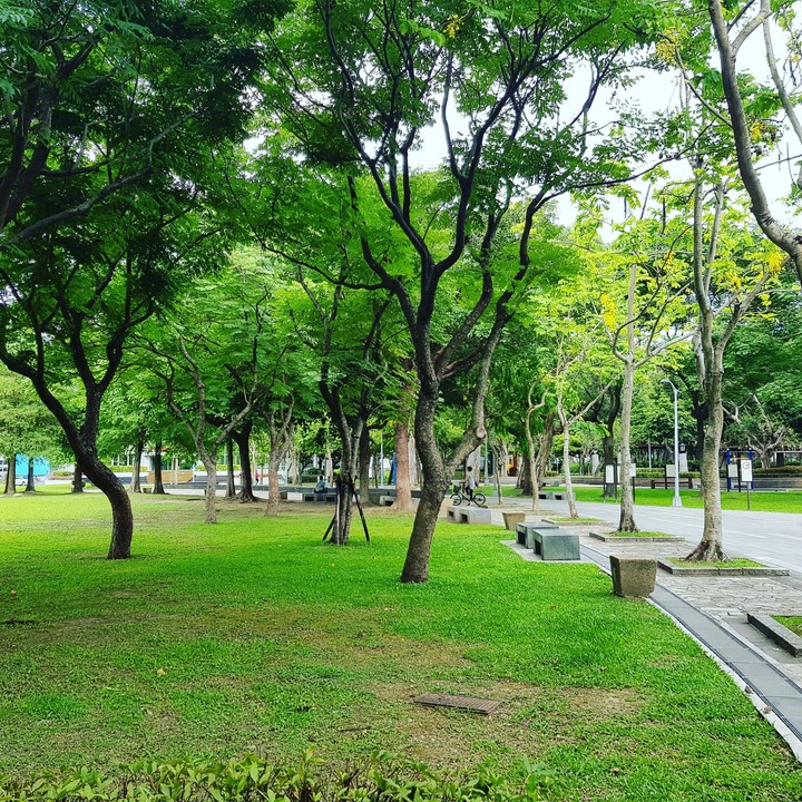 Lin Sen Park