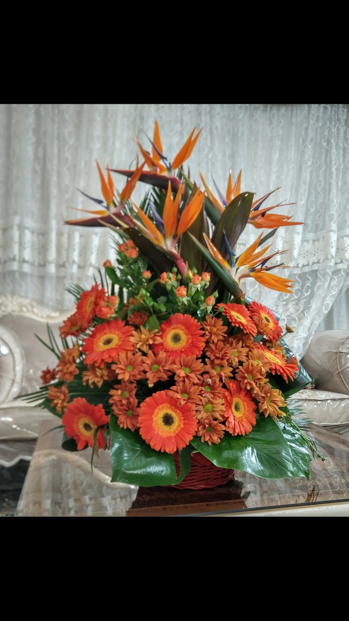 proposal flower