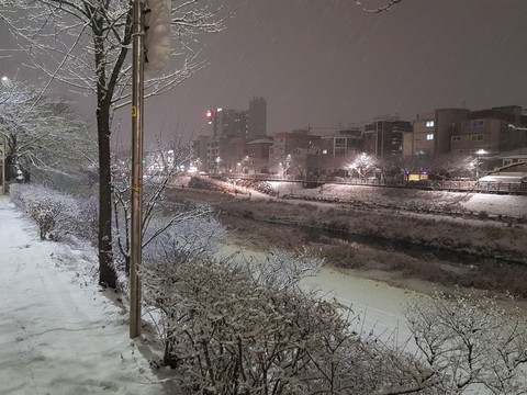 Winter in the City