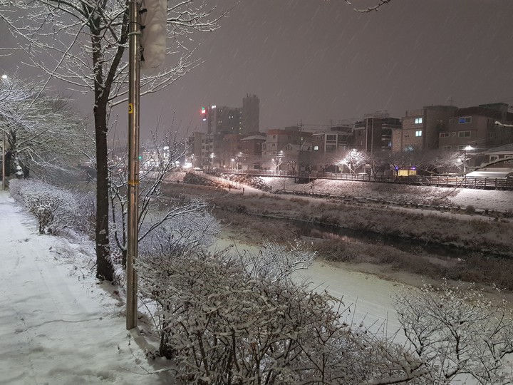Winter in the City