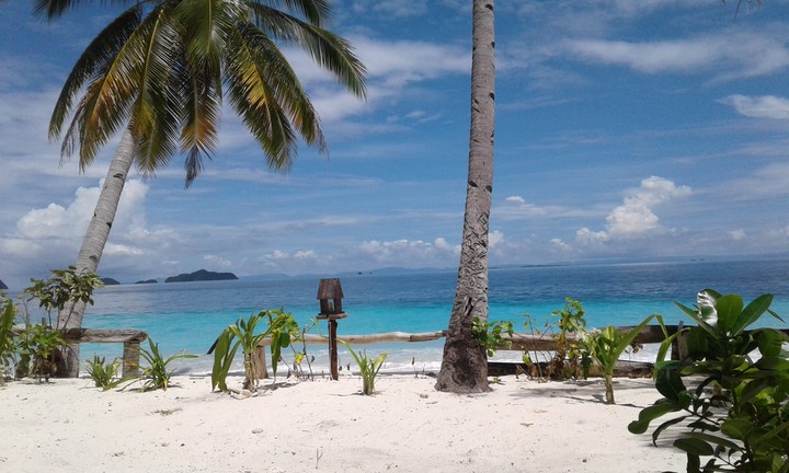 Let's enjoy paradise with us.