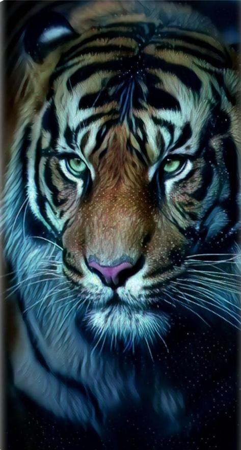 tiger