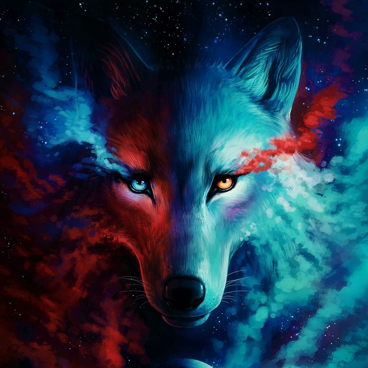 wolf
