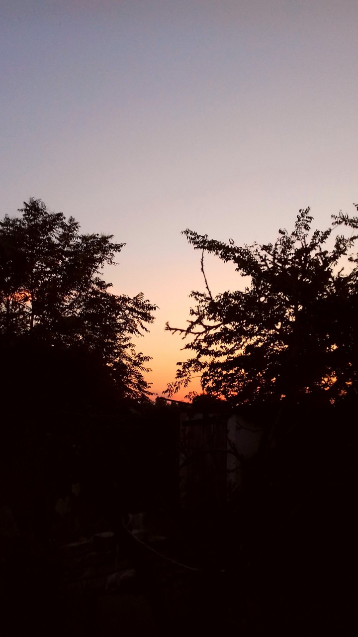 sunset