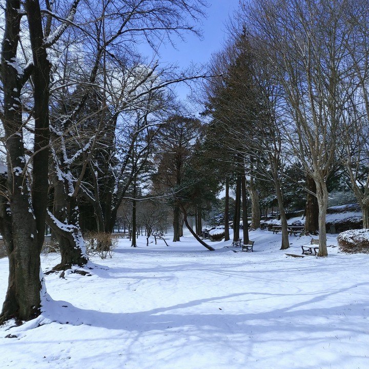 After snow