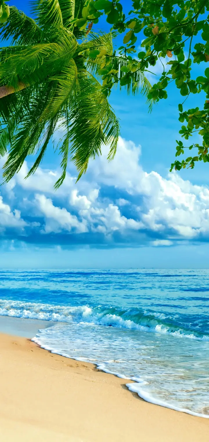 sea