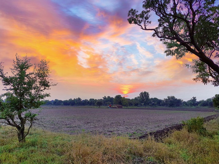 sunset