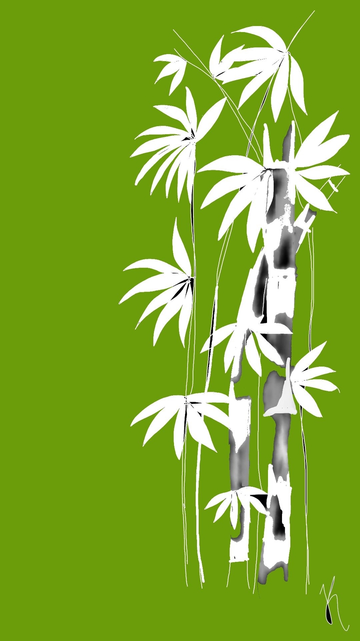 bamboo