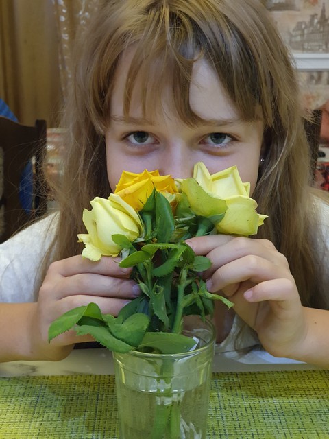 food, floristry wallpapers
