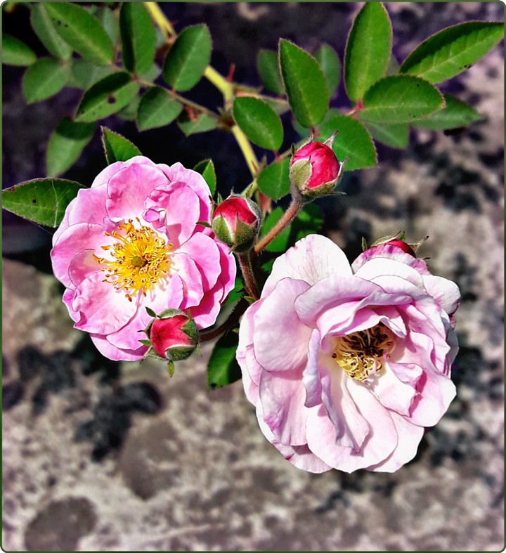 BE IN TOUCH WITH NATURE