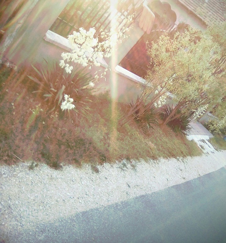 Beautiful garden!