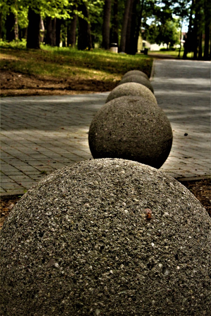 Walk in a park