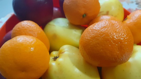 fruits