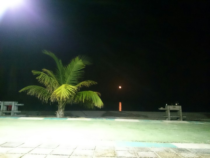 kish island,moon