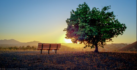 Golden Time