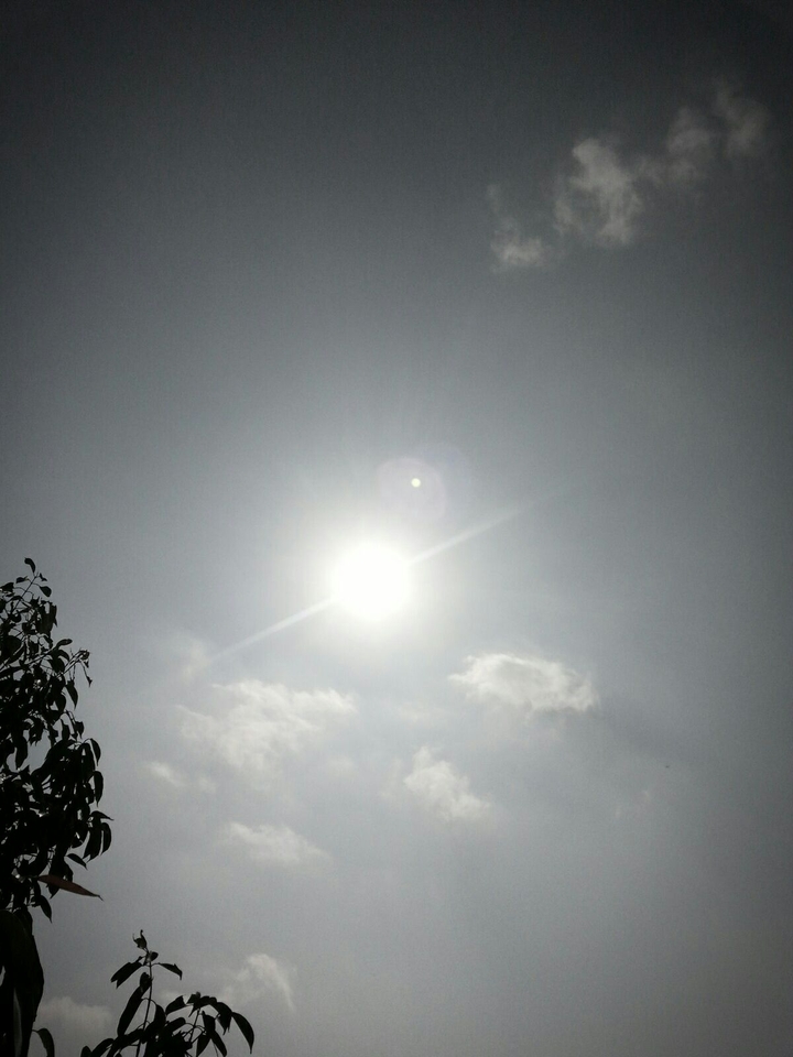 sunlight