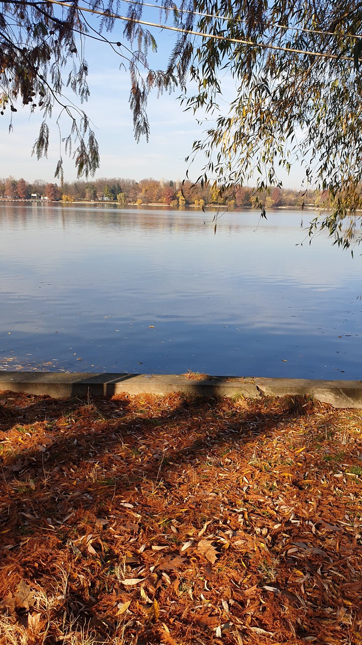 automne