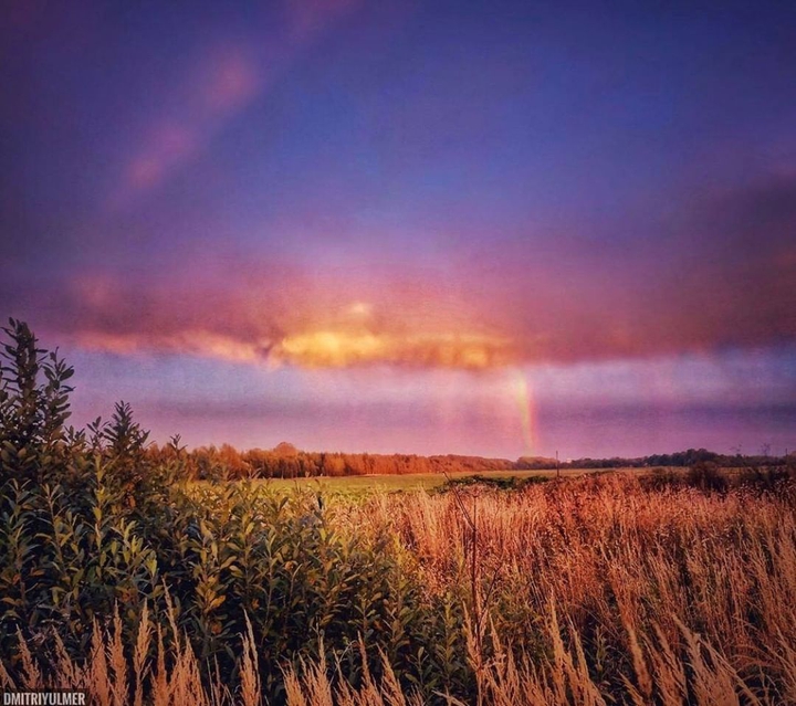 Fantastic Sky