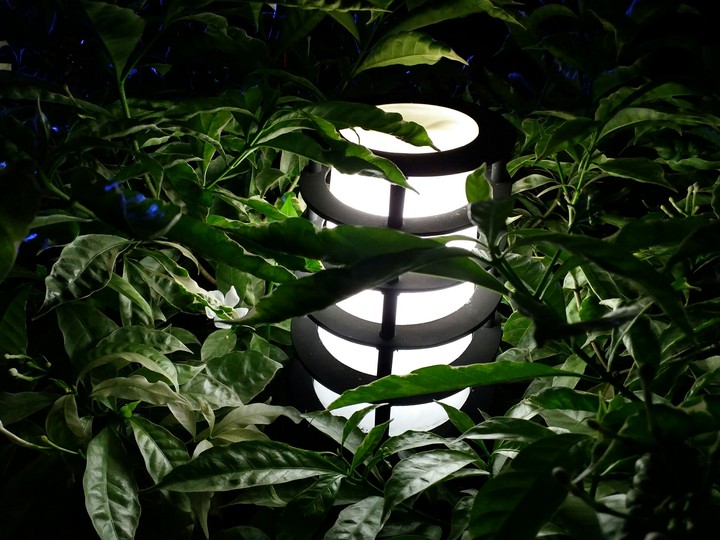 light