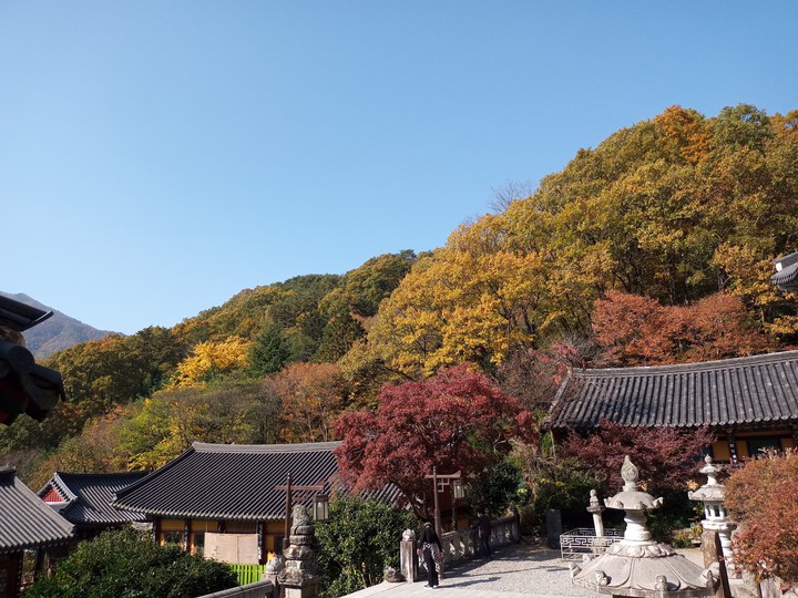 Korean temple in autumn