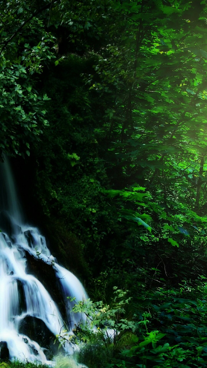 Landscape Wallpaper