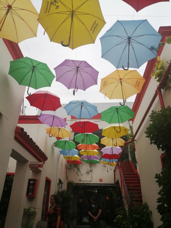 Umbrellas in Buenos Aires