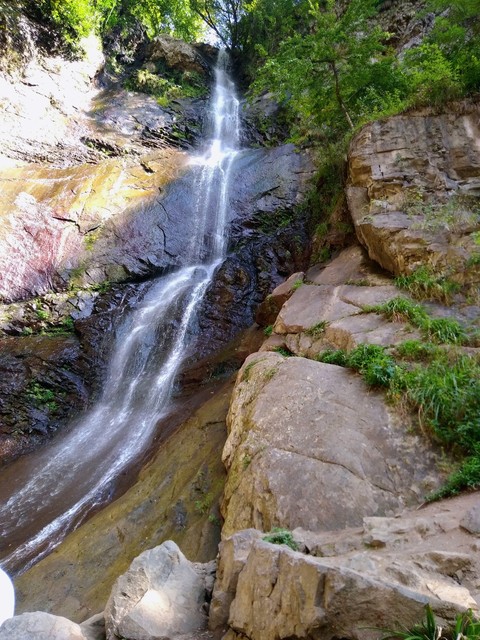 hình nền grass, Georgia