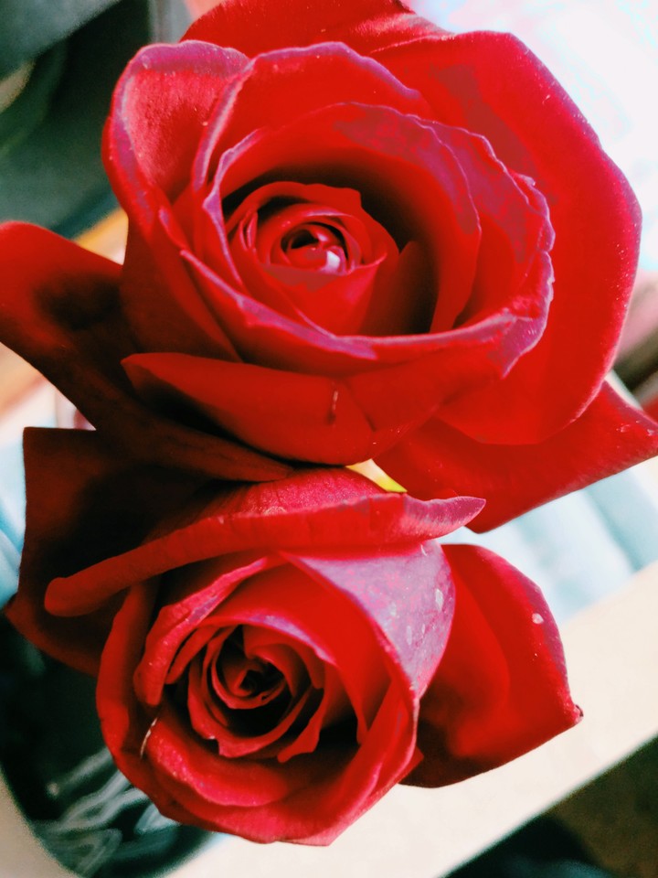 OnePlus 3T photography