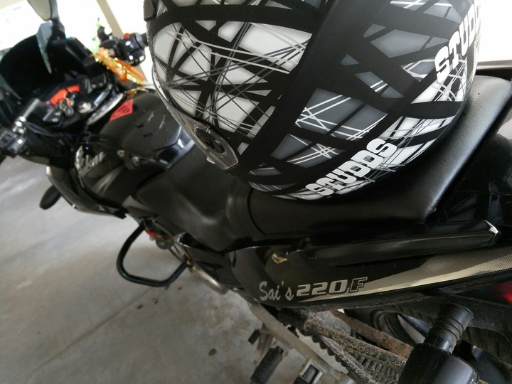 studds pulsar