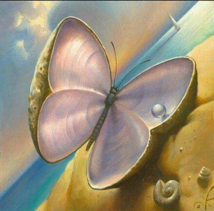 Butterfly