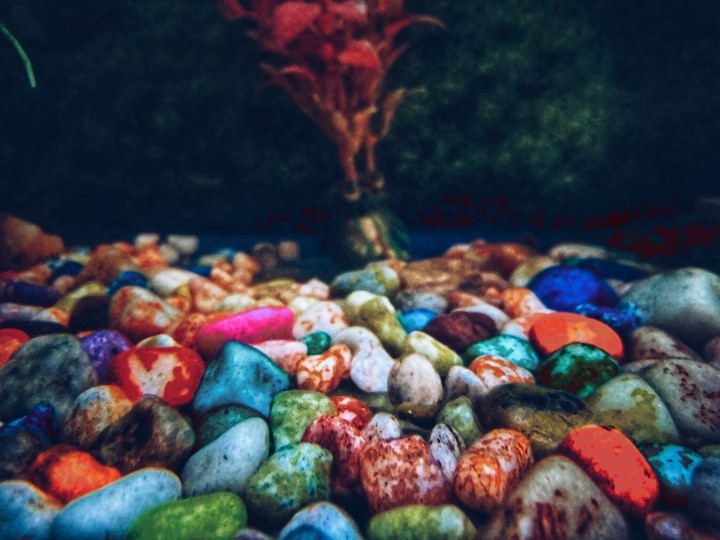 underwater stone