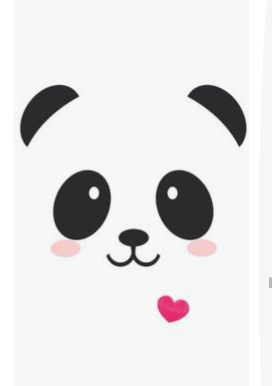 urso fofo