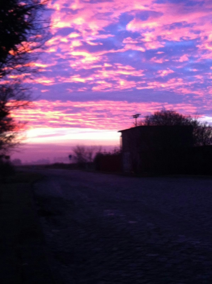am Morgen