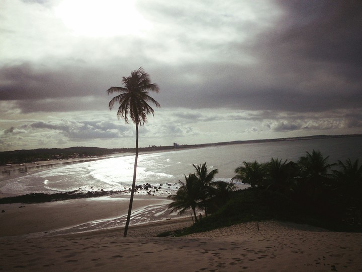 Beautiful landscape