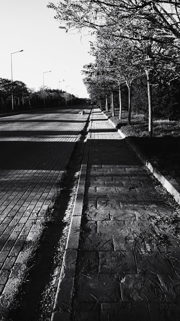 street