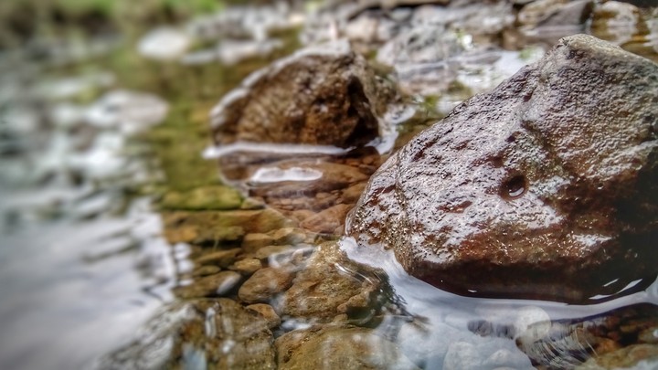 stone