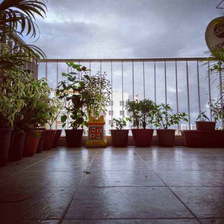 Rainy Afternoon!